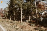 lut2