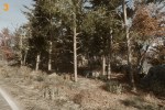 lut3