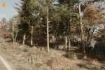 lut4